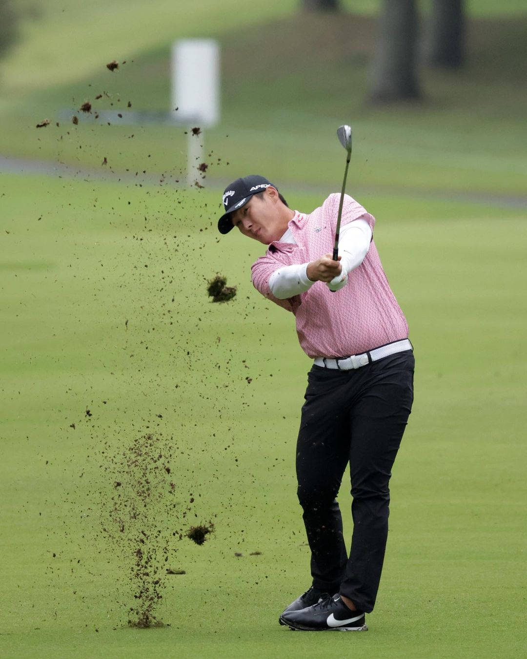 Danny Lee, pink shirt, bunker, HD Phone Wallpaper