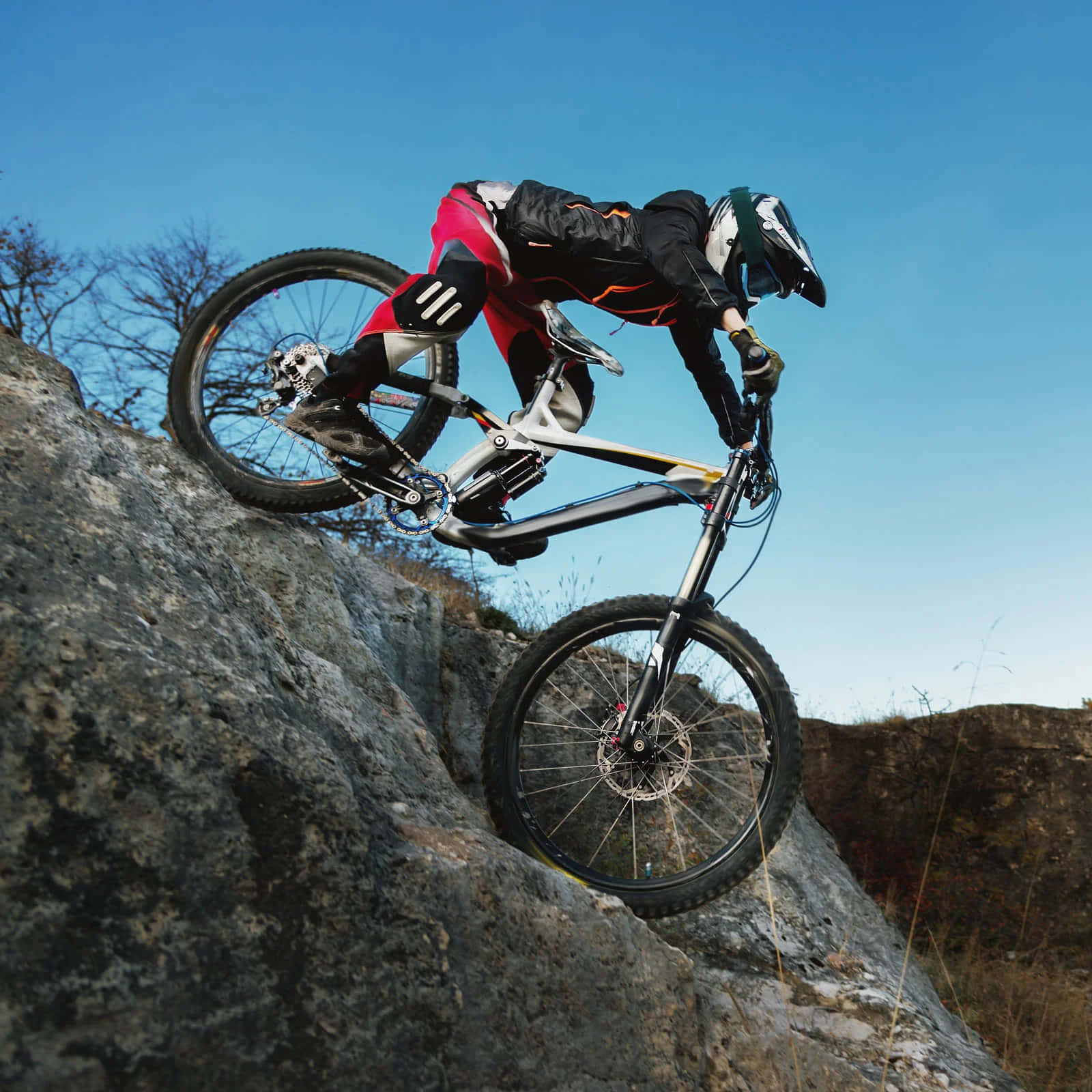 Daring, 1600 x 1600 wallpaper, mountain biker, HD Desktop Wallpaper