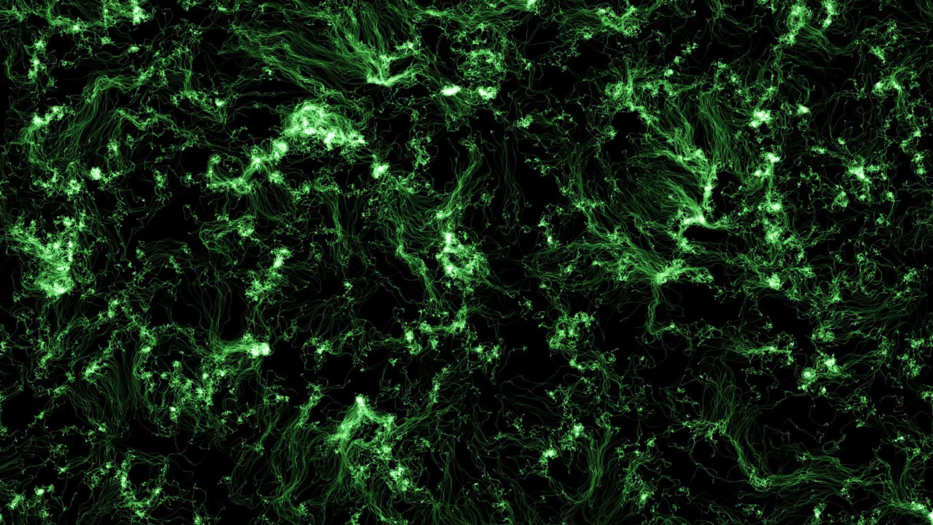 neon green, fractal patterns, deep black background, Full HD Desktop Wallpaper
