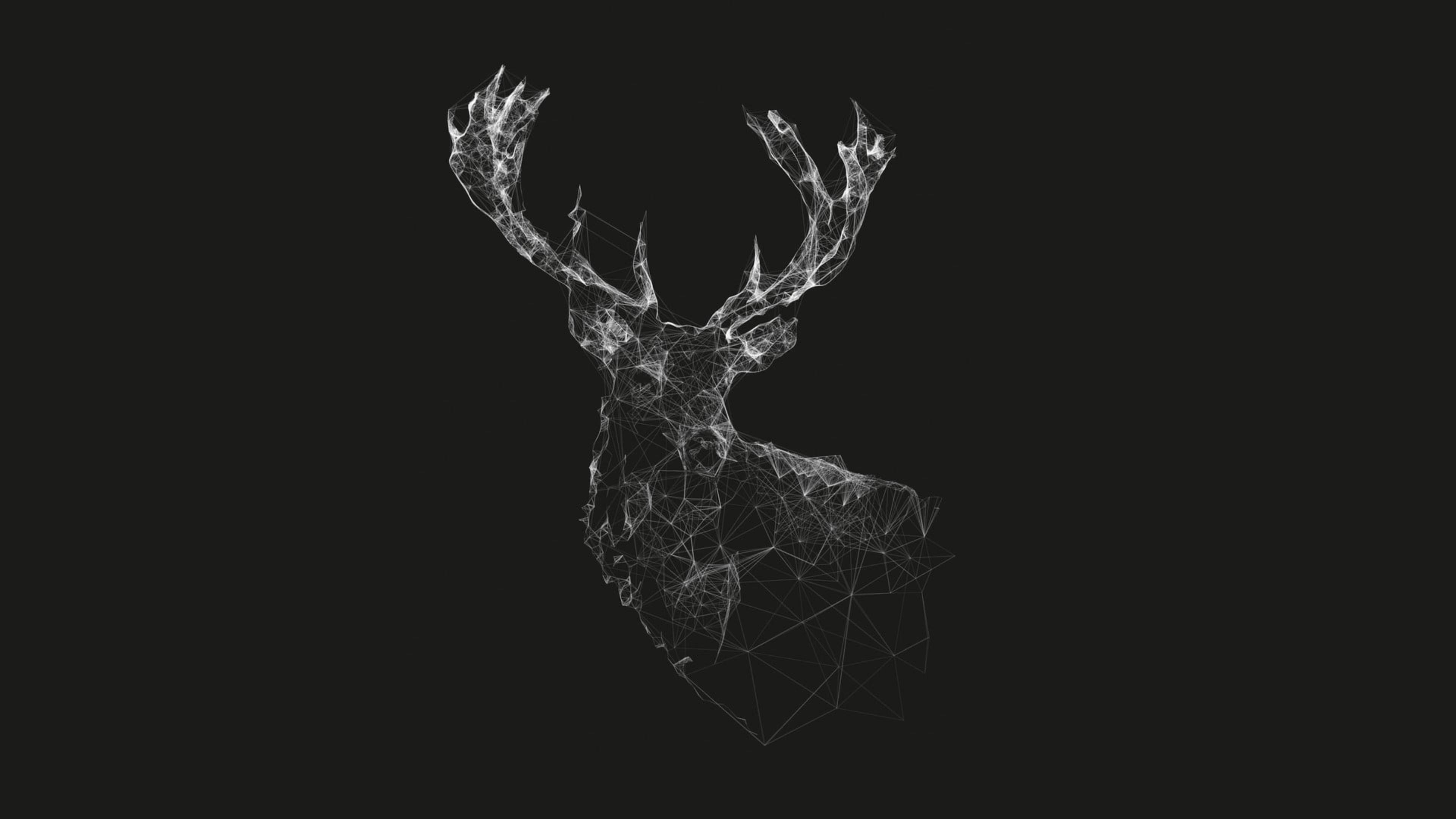 luminous deer, geometric wireframe deer head, antlers, 4K Desktop Wallpaper