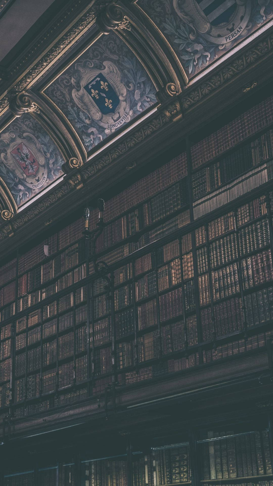 grand library, towering bookshelves, ornate ceiling frescoes, Full HD Phone Wallpaper