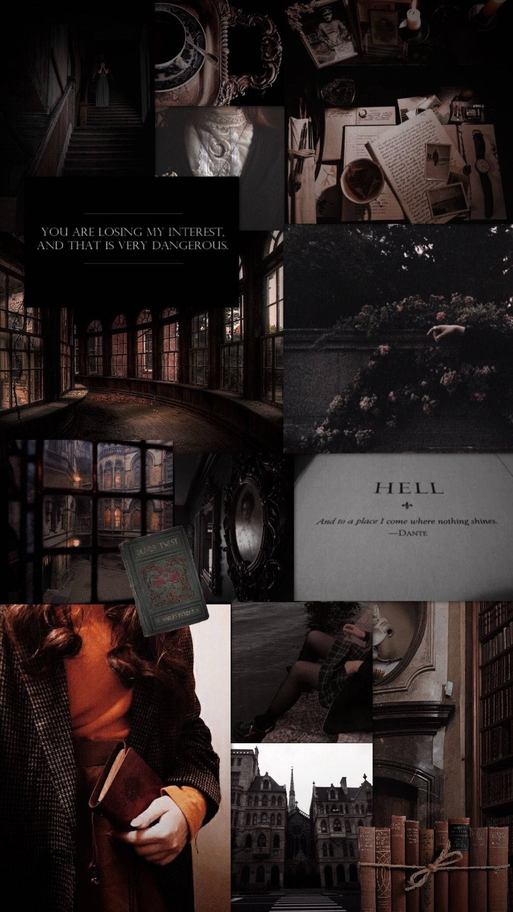 Dark Academia, vintage bookshelves, gothic architecture, HD Phone Wallpaper