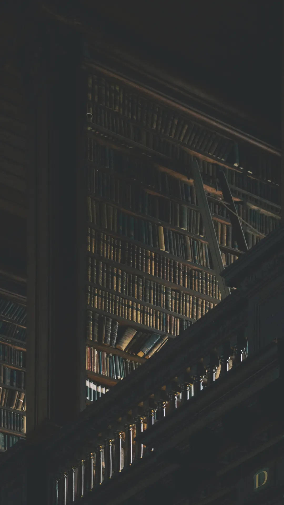 Dark Academia, wooden bookshelves, aged books, Full HD Phone Wallpaper