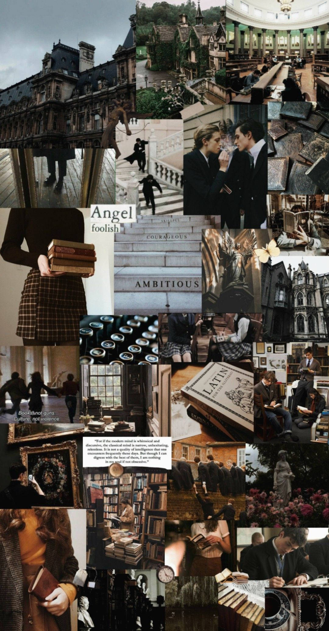 Dark Academia, vintage academic scenes, libraries, Full HD Phone Wallpaper