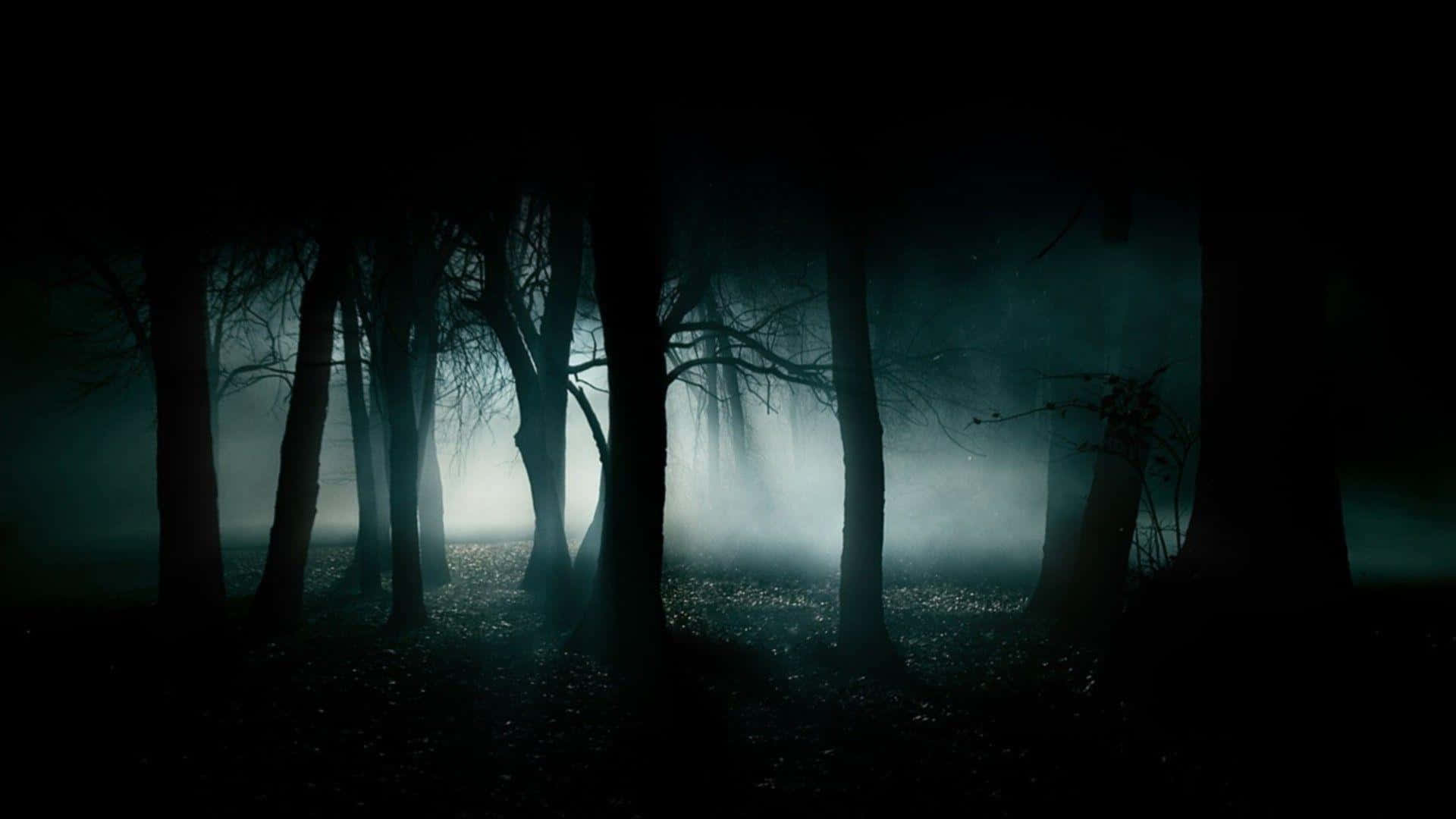 dark desk, faint blue glow, misty forest, Full HD Desktop Wallpaper