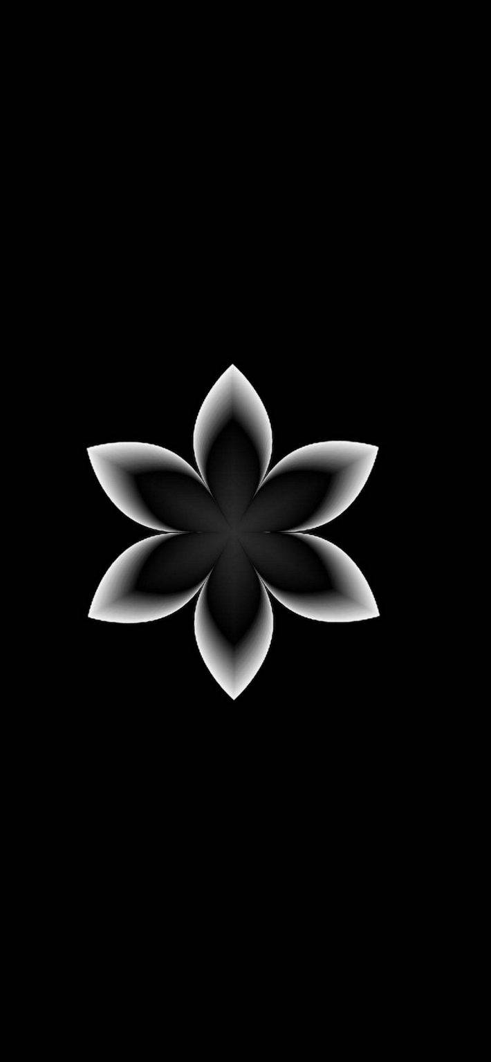iPhone, black and white, abstract flower, HD Phone Wallpaper