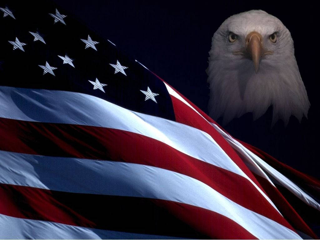 bald eagle, American flag, dark background, SD Desktop Wallpaper