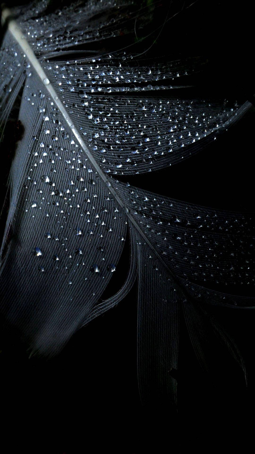 Dark Android, feather, dewdrops, Full HD Phone Wallpaper