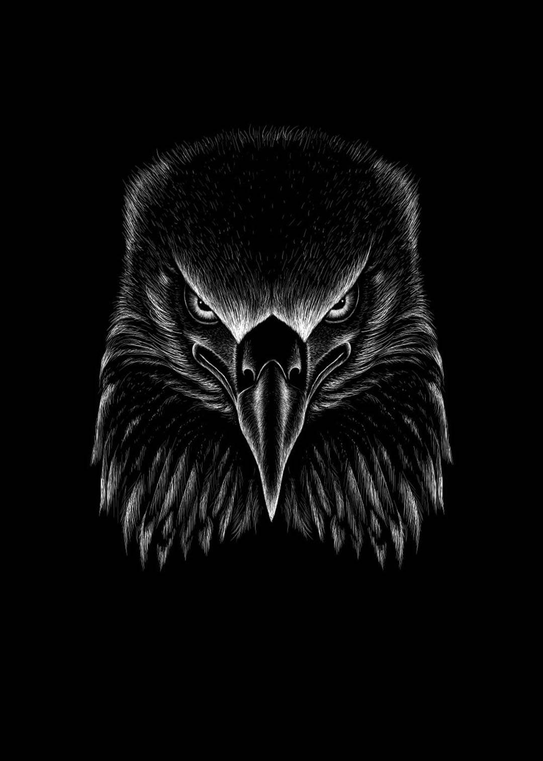 Dark Android, fierce eagle eyes, eagle's head, HD Phone Wallpaper