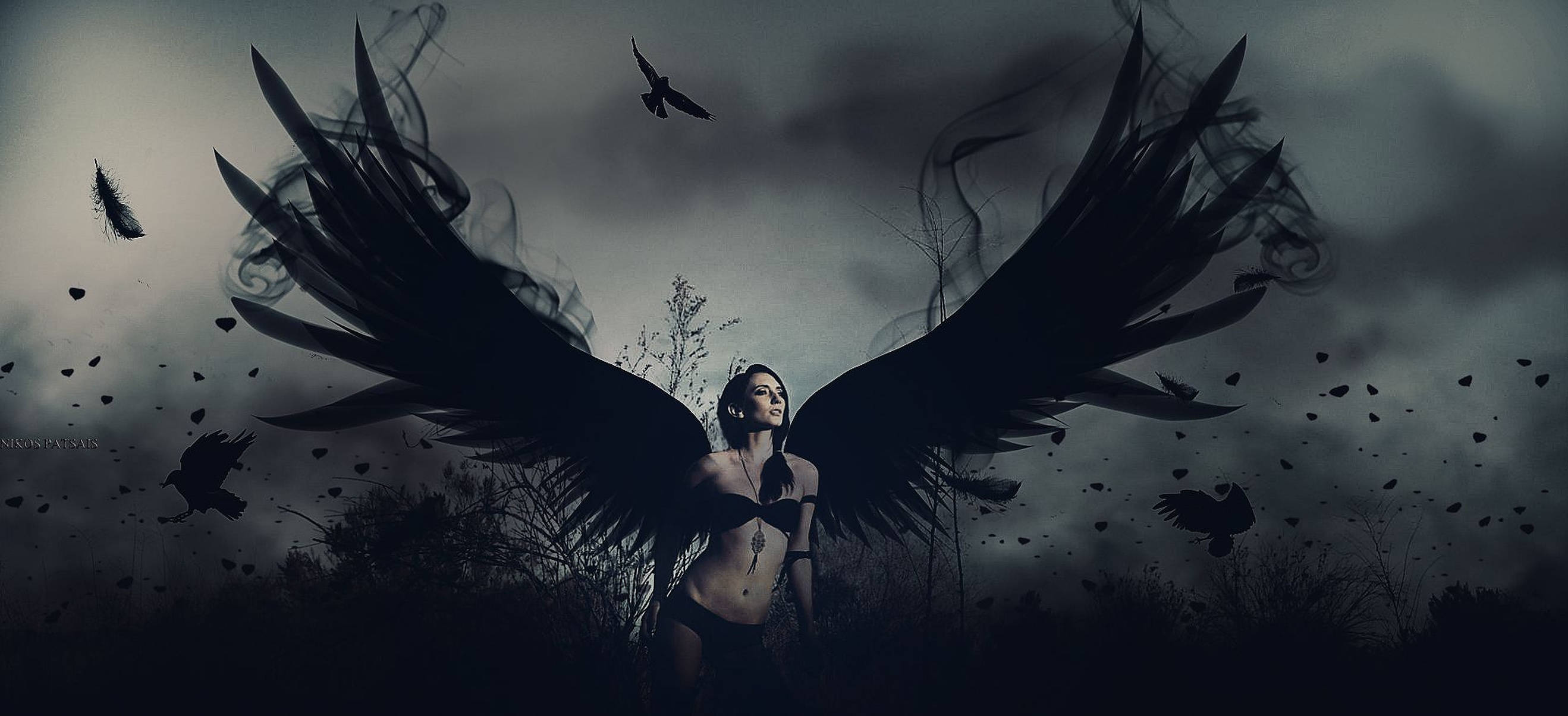 Dark Angel, black wings, ravens, 2K Desktop Wallpaper