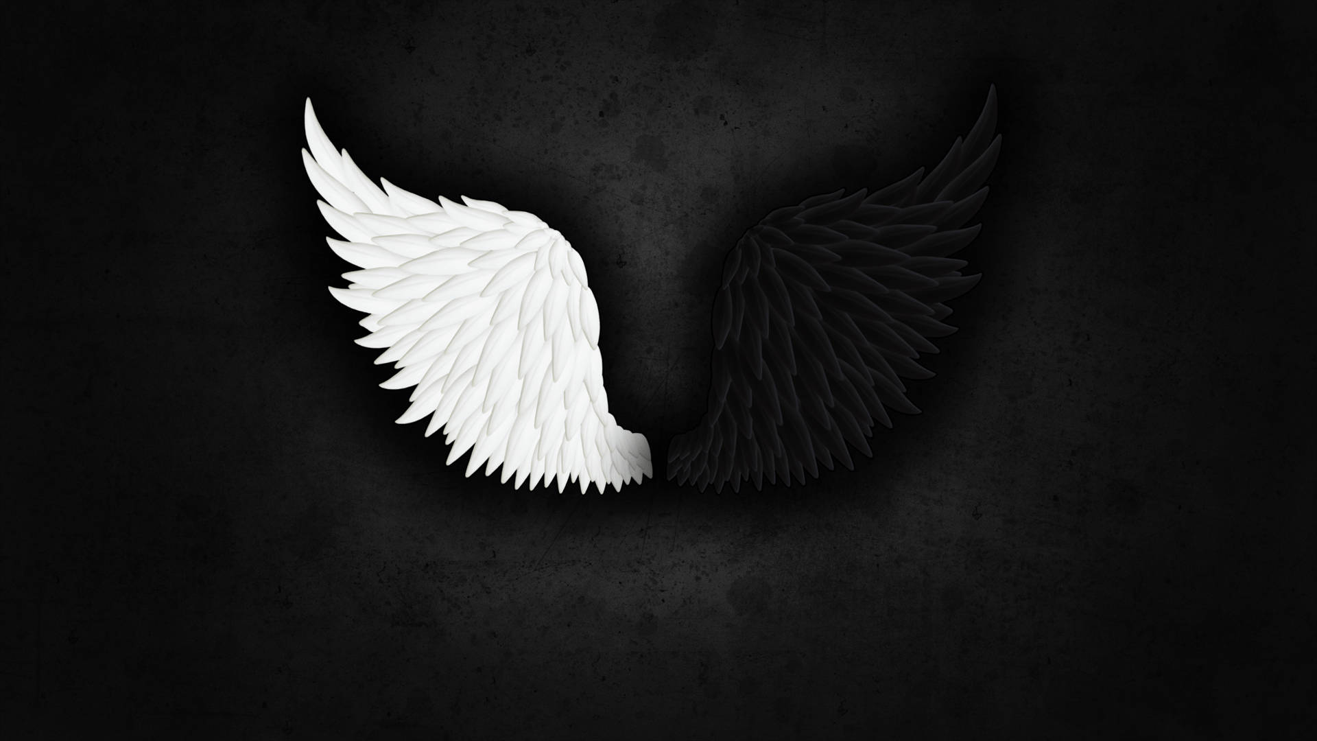 light and dark angel wing, white wings, black wings, Full HD Desktop Wallpaper