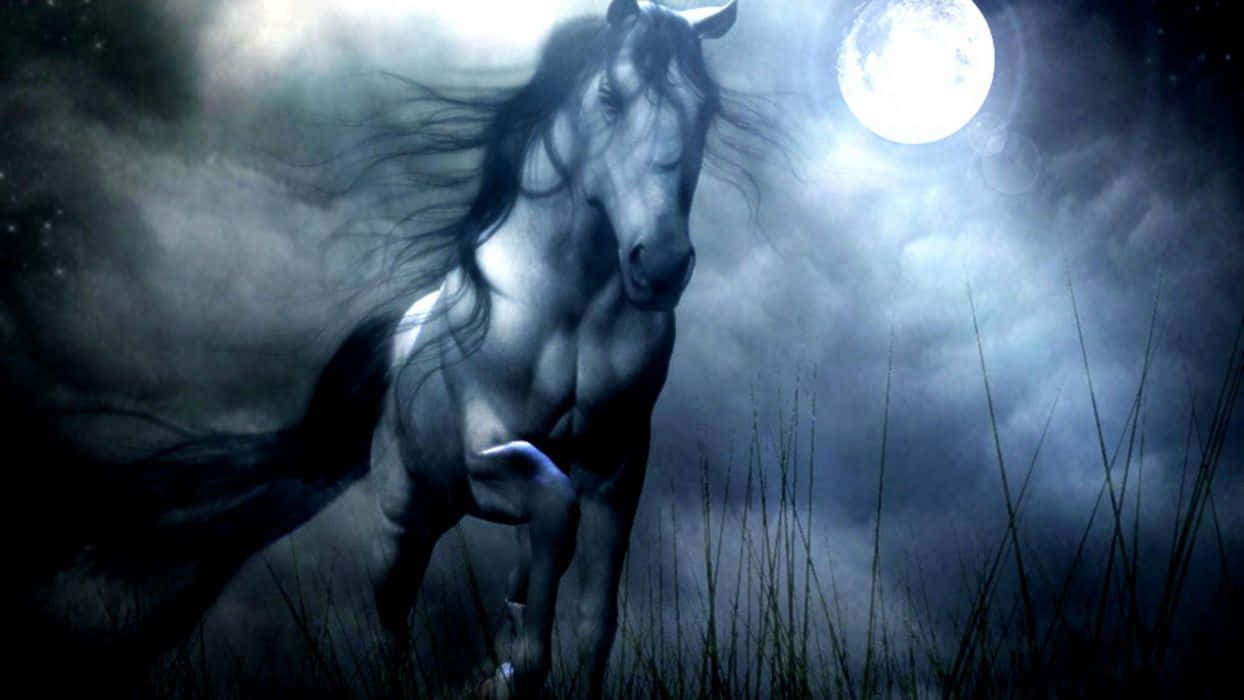 dark animals, white horse, glowing full moon, SD Desktop Wallpaper