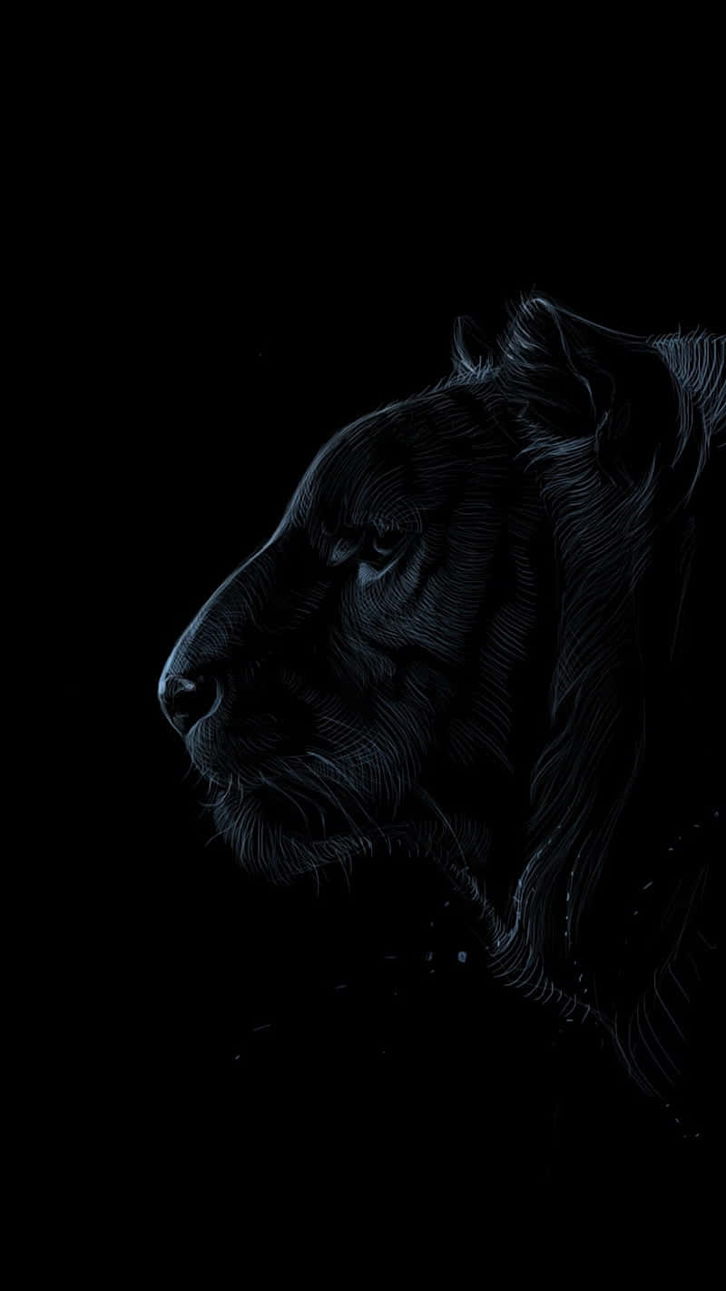 Dark Animals, black tiger, white line art, HD Phone Wallpaper