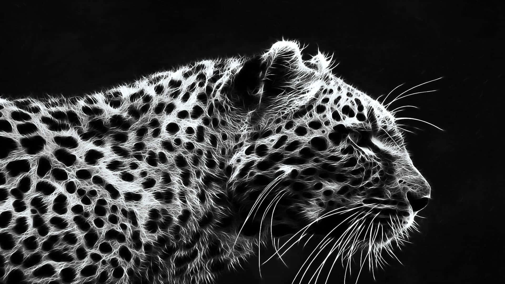 Dark Animals, leopard, black and white, Full HD Desktop Wallpaper