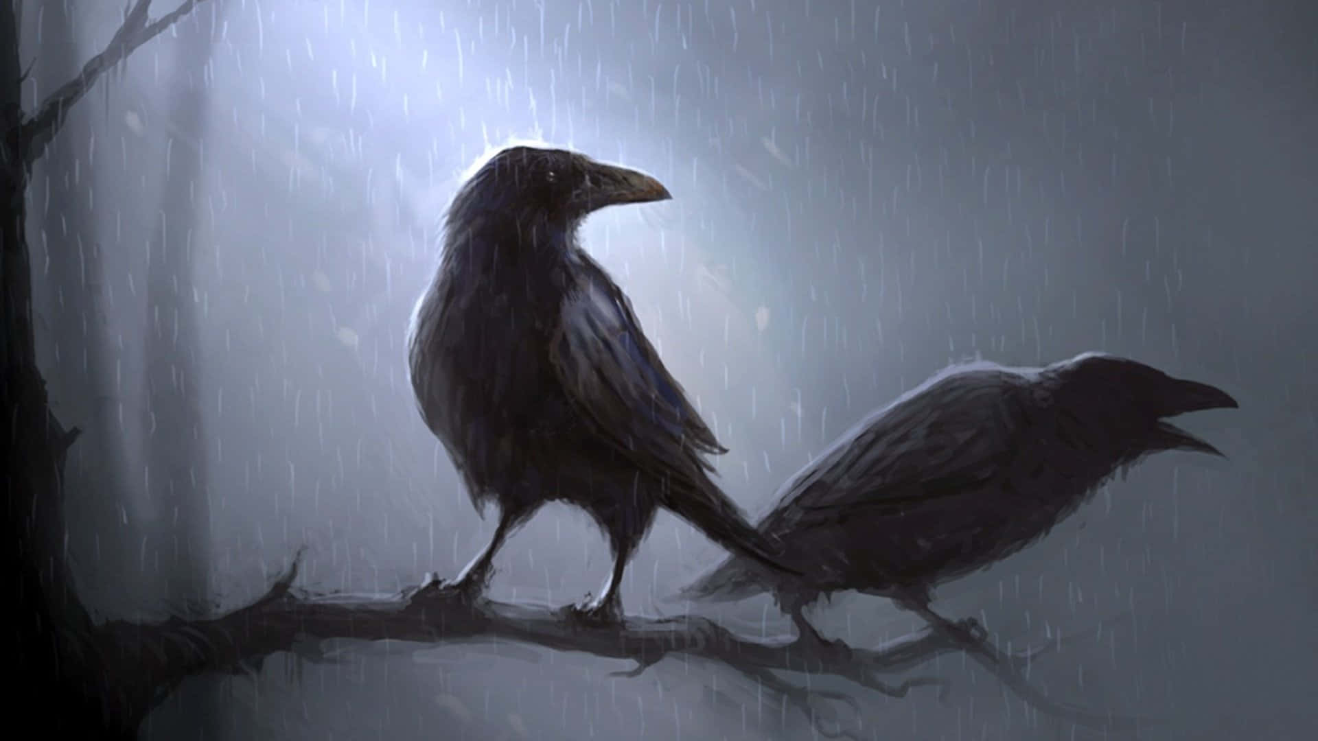Dark Animals, ravens, branch, Full HD Desktop Wallpaper