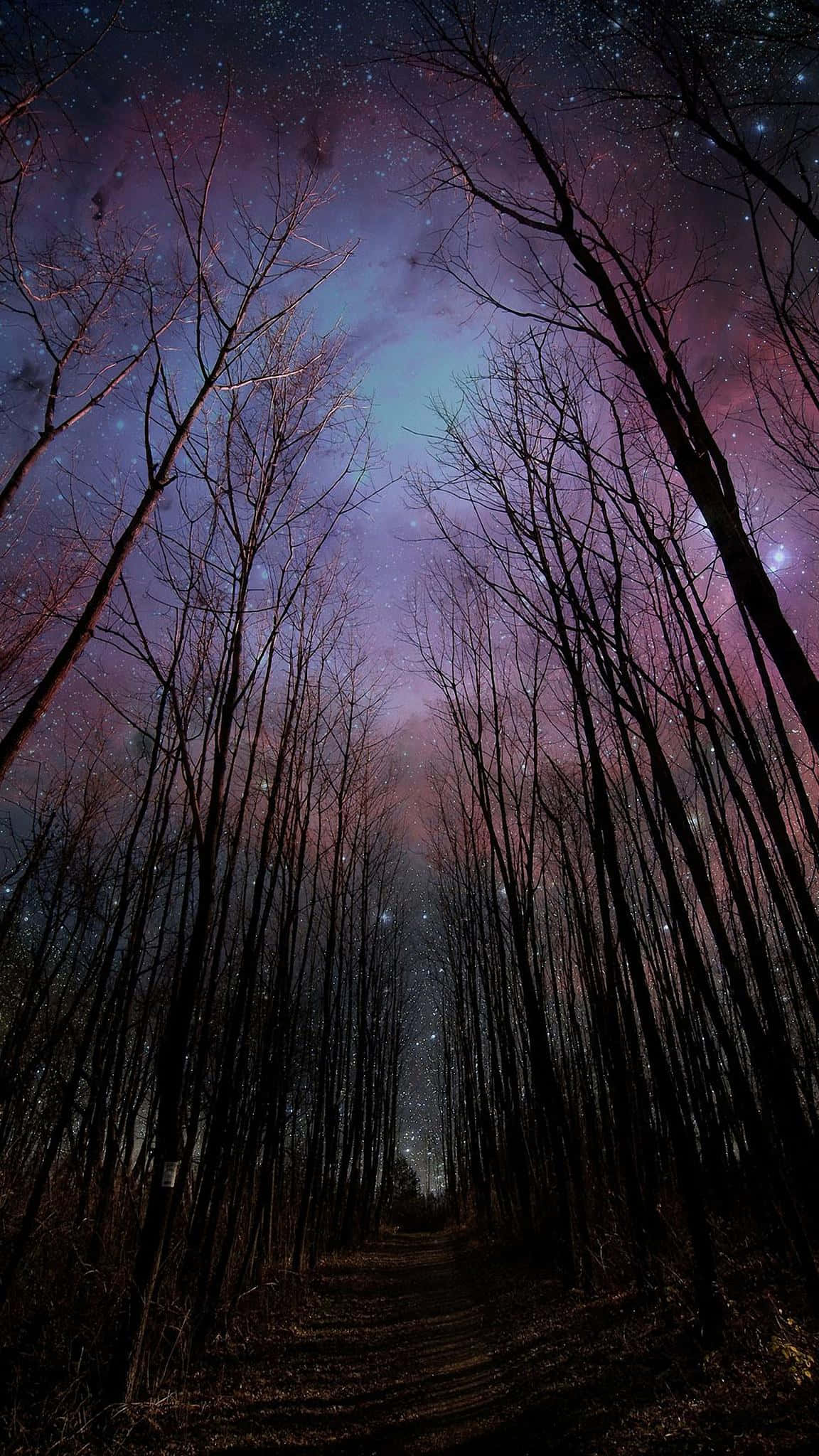 Dark Autumn, starry purple and blue night sky, dark forest path, Full HD Phone Wallpaper