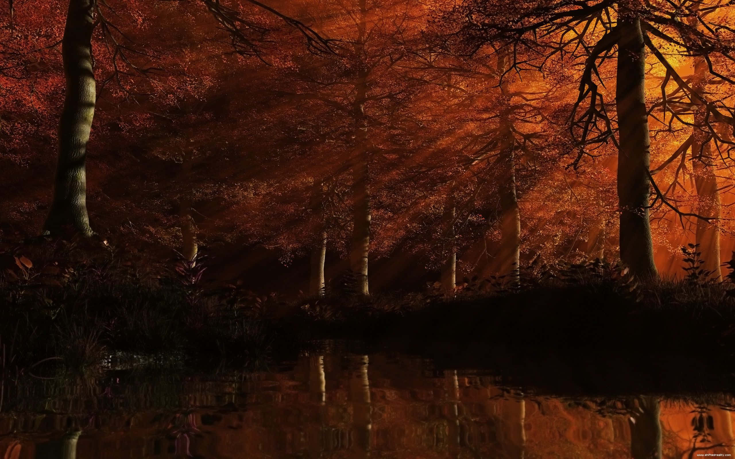 Dark Autumn, autumn trees, fiery orange rays, 2K Desktop Wallpaper