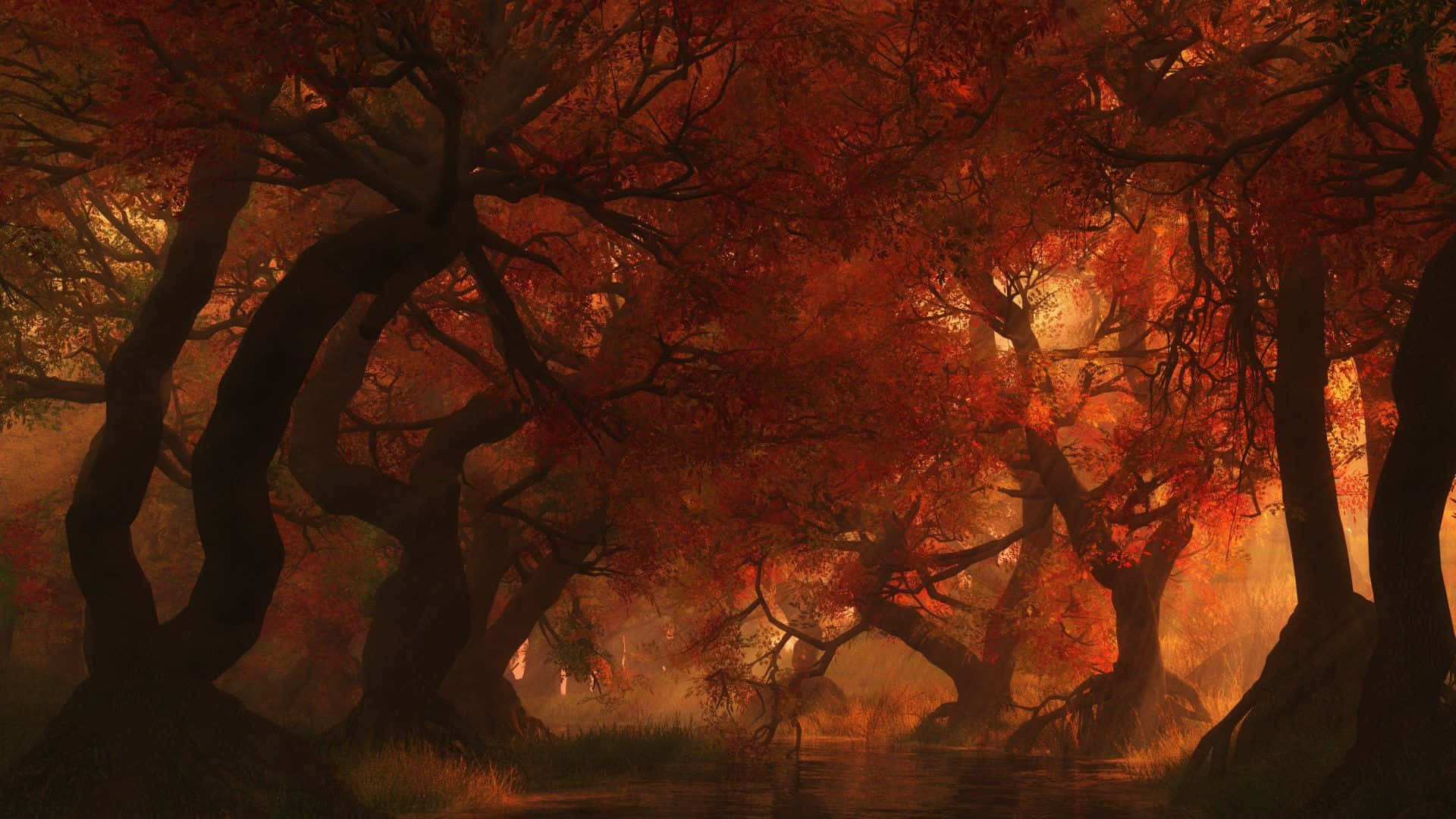 Dark Autumn, autumn forest, twisted trees, Full HD Desktop Wallpaper