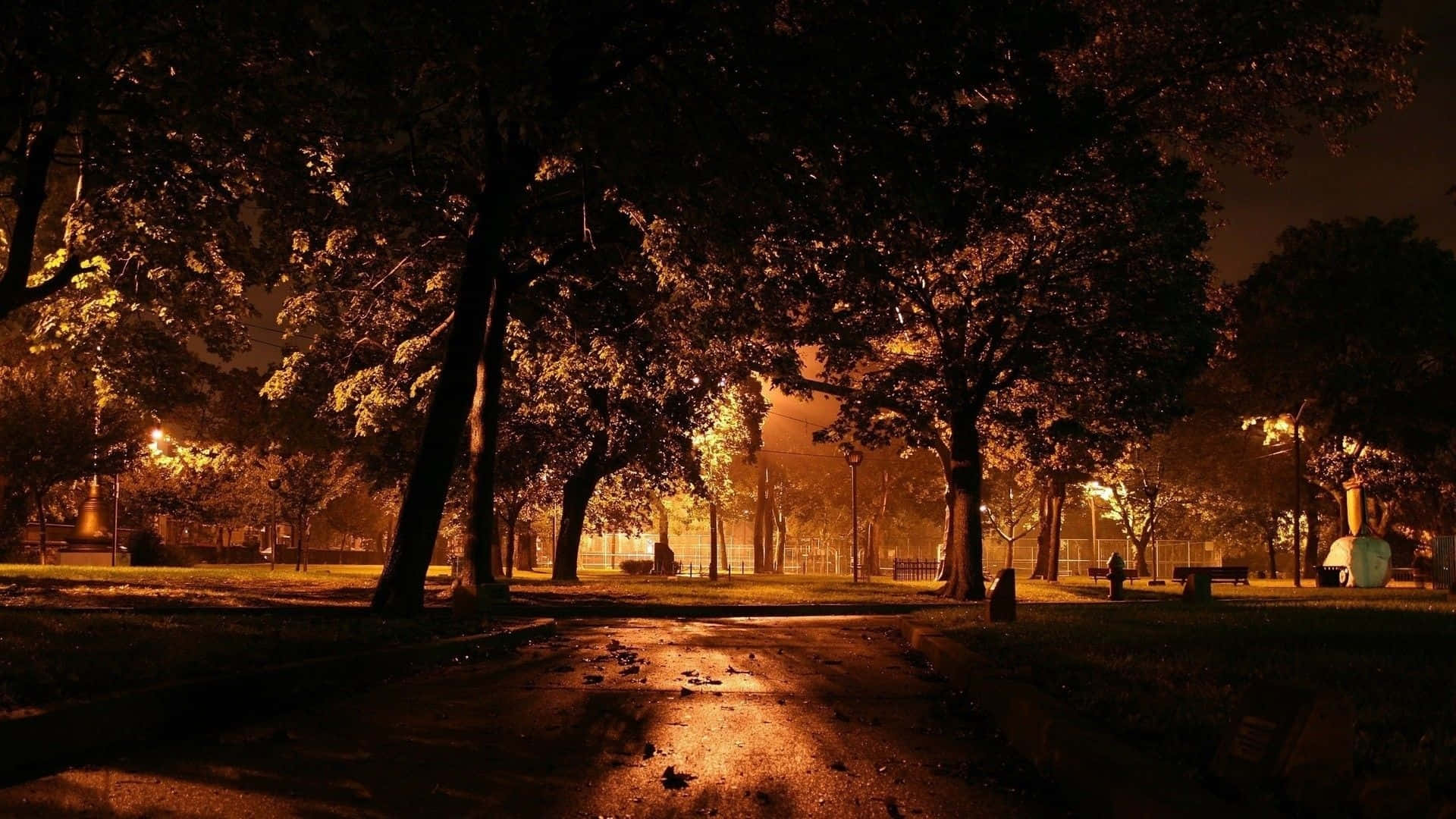 Dark Autumn, park, night, Full HD Desktop Wallpaper