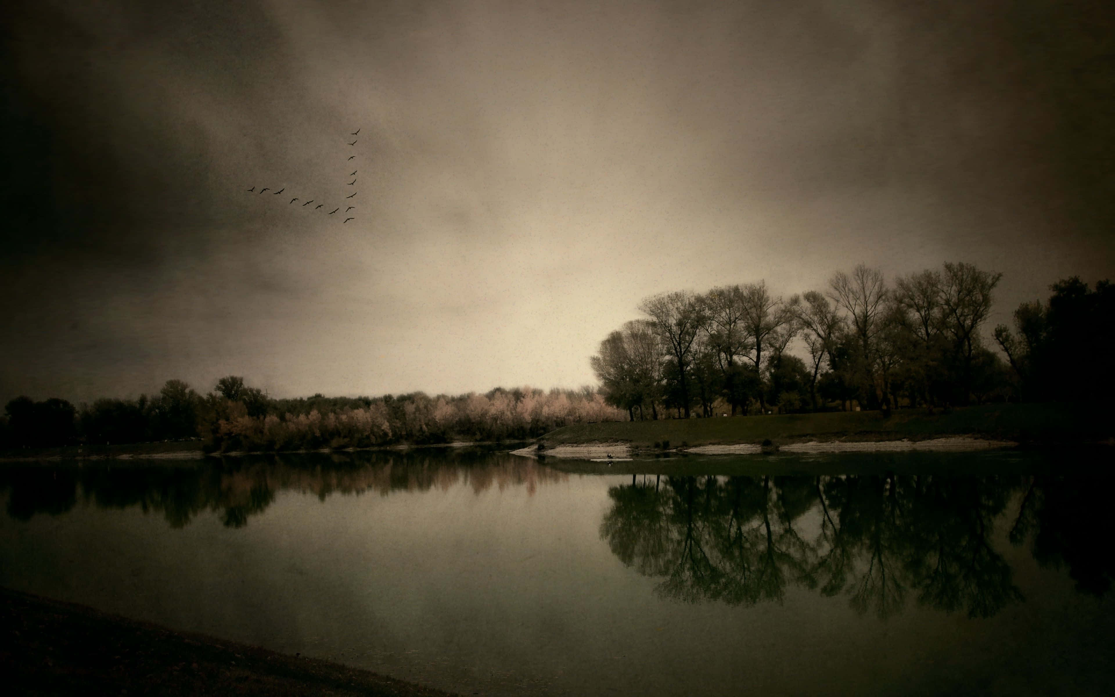 Dark Autumn, spooky river, bare trees, 4K Desktop Wallpaper
