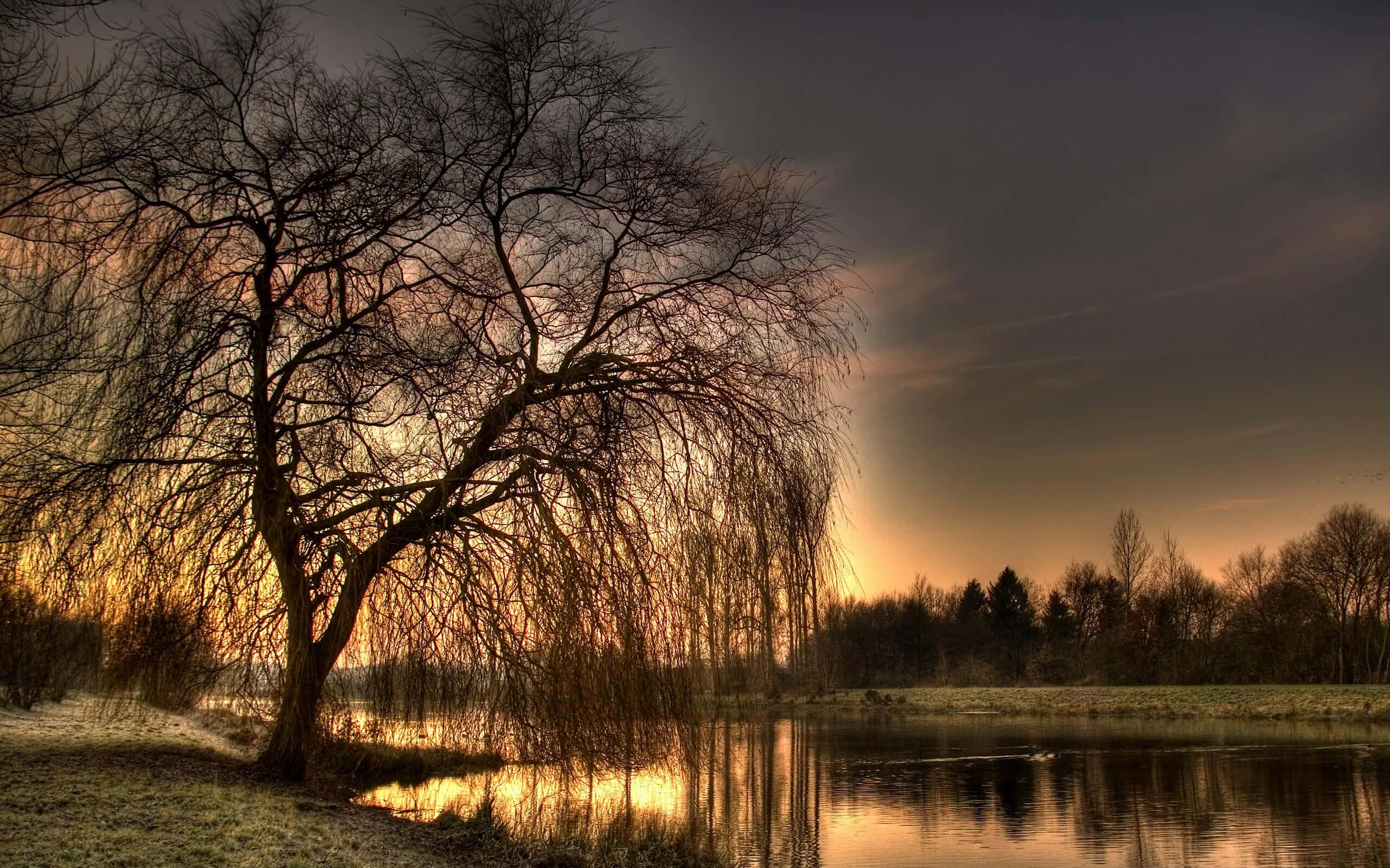 autumn evening, sunset, calm water, 2K Desktop Wallpaper