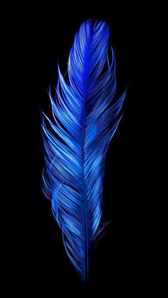Dark Blue Aesthetic Tumblr, feather, radiant blue, SD Phone Wallpaper