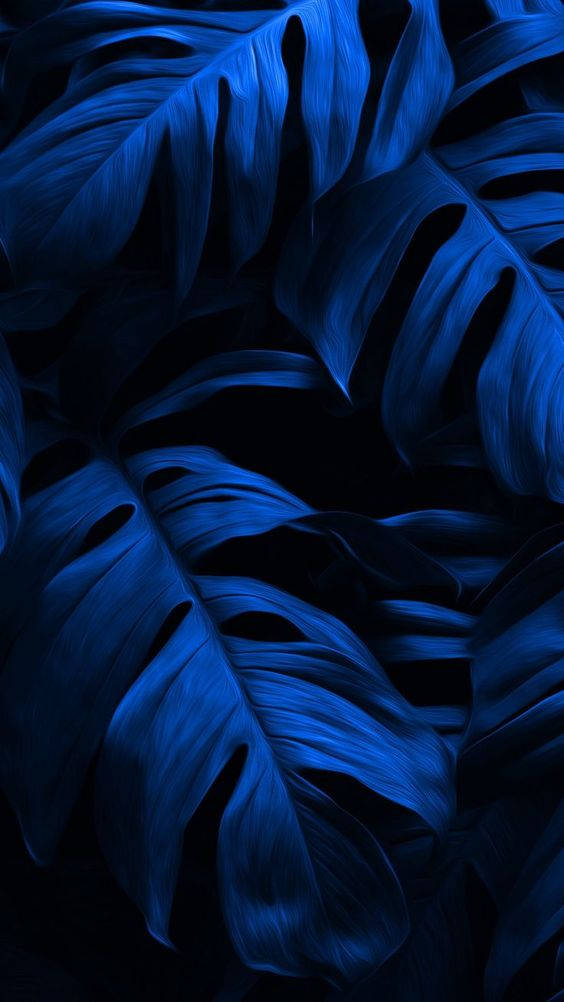 Dark Blue Aesthetic Tumblr, monstera leaves, vibrant blue, SD Phone Wallpaper
