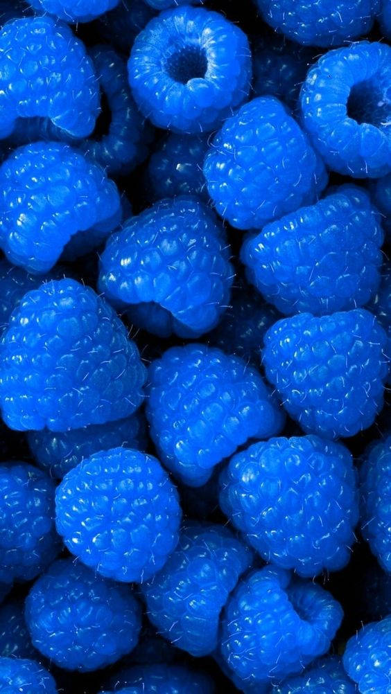 Dark Blue Aesthetic Tumblr, raspberries, vibrant blue, SD Phone Wallpaper