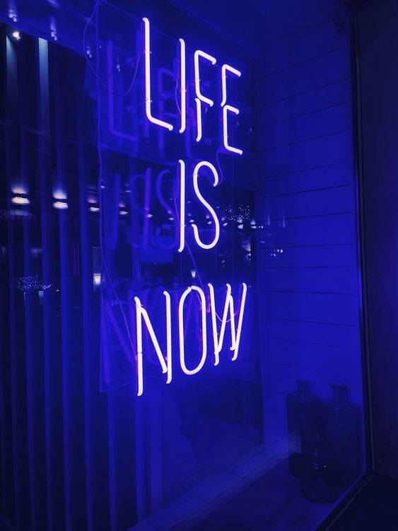 LIFE IS NOW, neon sign, glass storefront, SD Phone Wallpaper