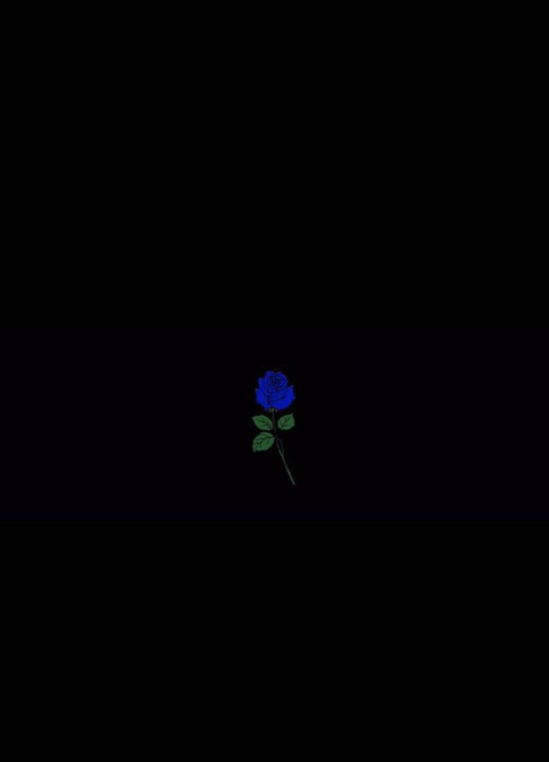 Blue Rose Black Aesthetic Tumblr, blue rose, green leaves, HD Phone Wallpaper