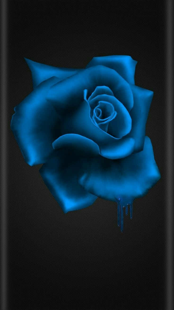 Dark Blue Rose Abstract, electric blue, glossy petals, HD Phone Wallpaper