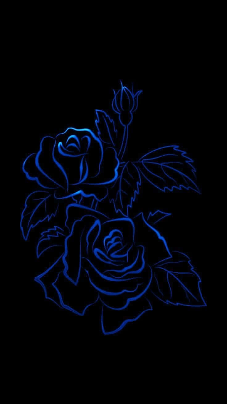 Dark Blue Rose Abstract, glowing blue neon outline, roses, HD Phone Wallpaper