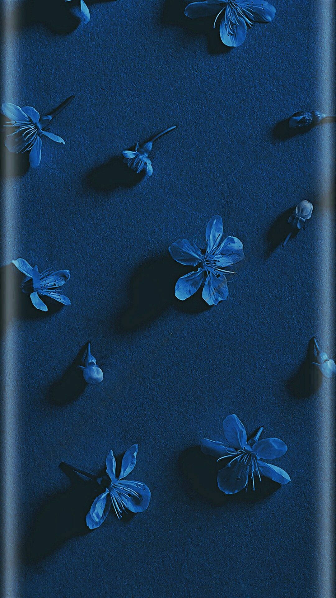 Dark Blue Rose Abstract, blue flowers, textured dark blue surface, Full HD Phone Wallpaper