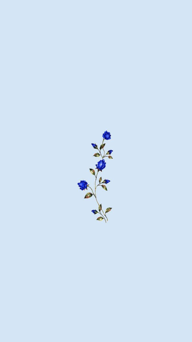 blue rose, green leaves, soft pastel blue background, SD Phone Wallpaper