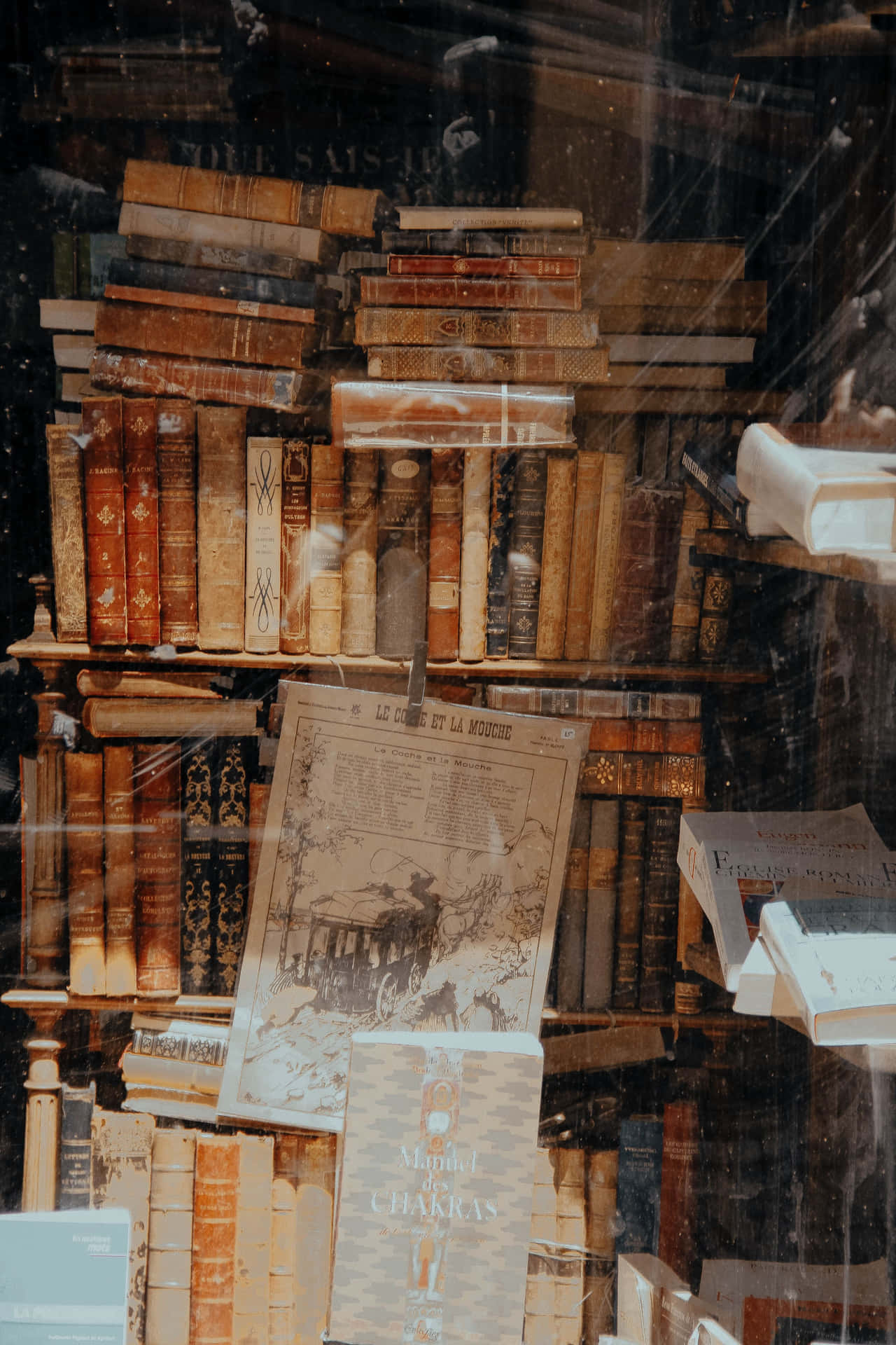 antique bookshelf, vintage books, dusty shop window, Full HD Phone Wallpaper