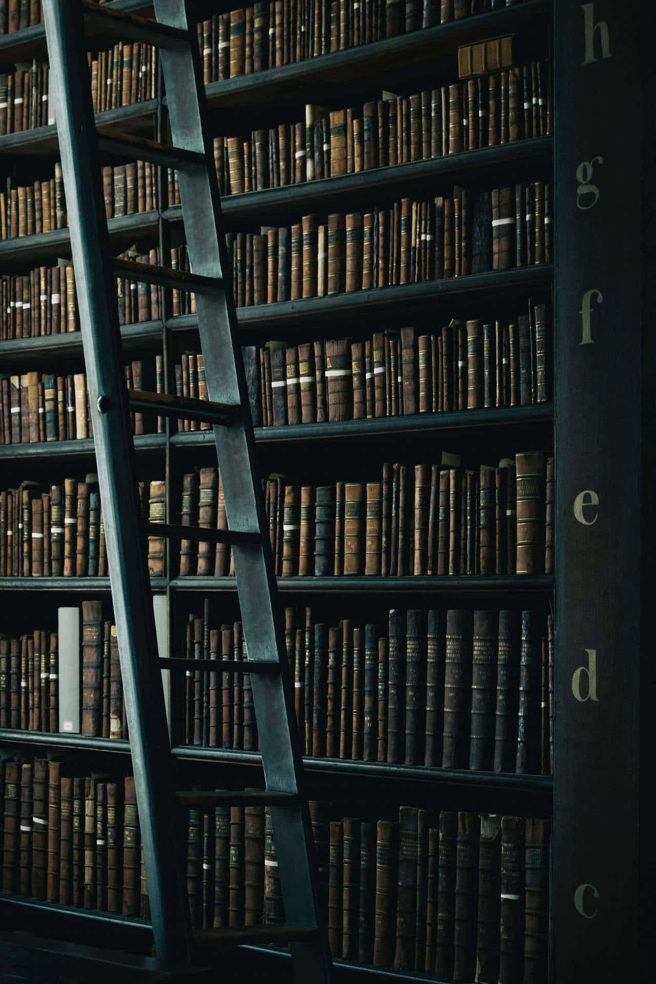 tall metal ladder, towering shelves, aged leather-bound books, Full HD Phone Wallpaper