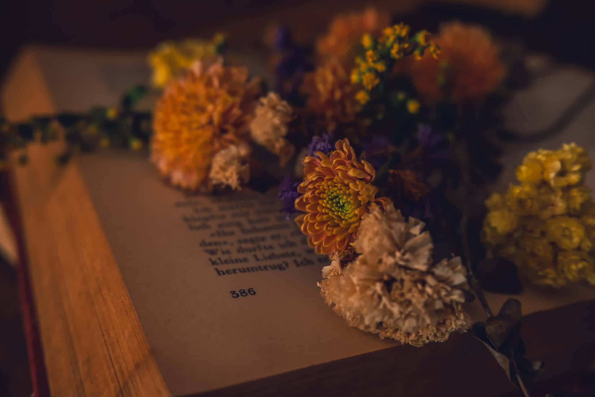 dark floral book aesthetic, dried flowers, warm hues, Full HD Desktop Wallpaper