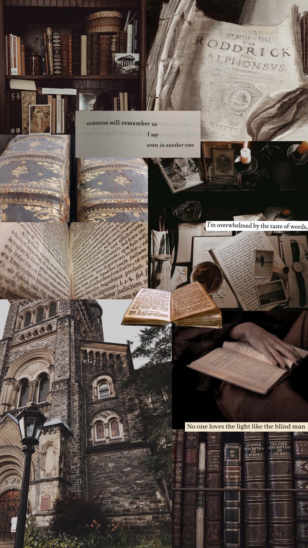 vintage books, old manuscripts, gothic cathedral, Full HD Phone Wallpaper