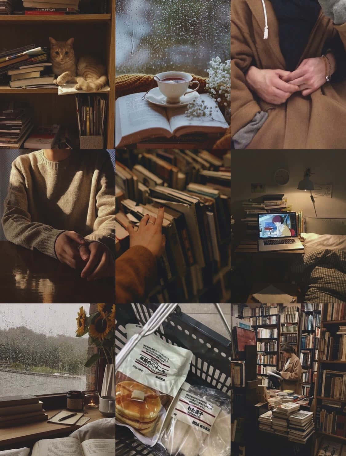 cozy bookish moments, dark aesthetic, cat on books, HD Phone Wallpaper