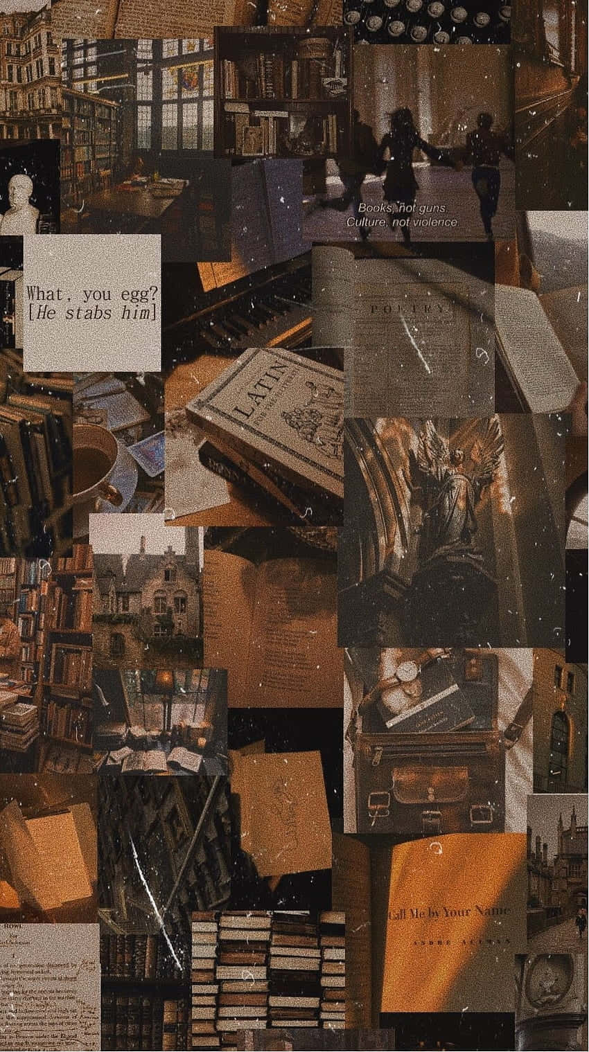 Dark Academia Collage Aesthetic, bookshelves, manuscripts, HD Phone Wallpaper