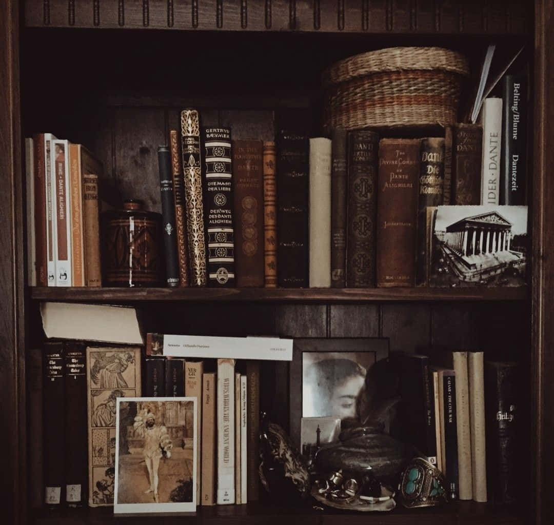 dark vintage bookshelf aesthetic, wooden bookshelf, vintage books, SD Desktop Wallpaper