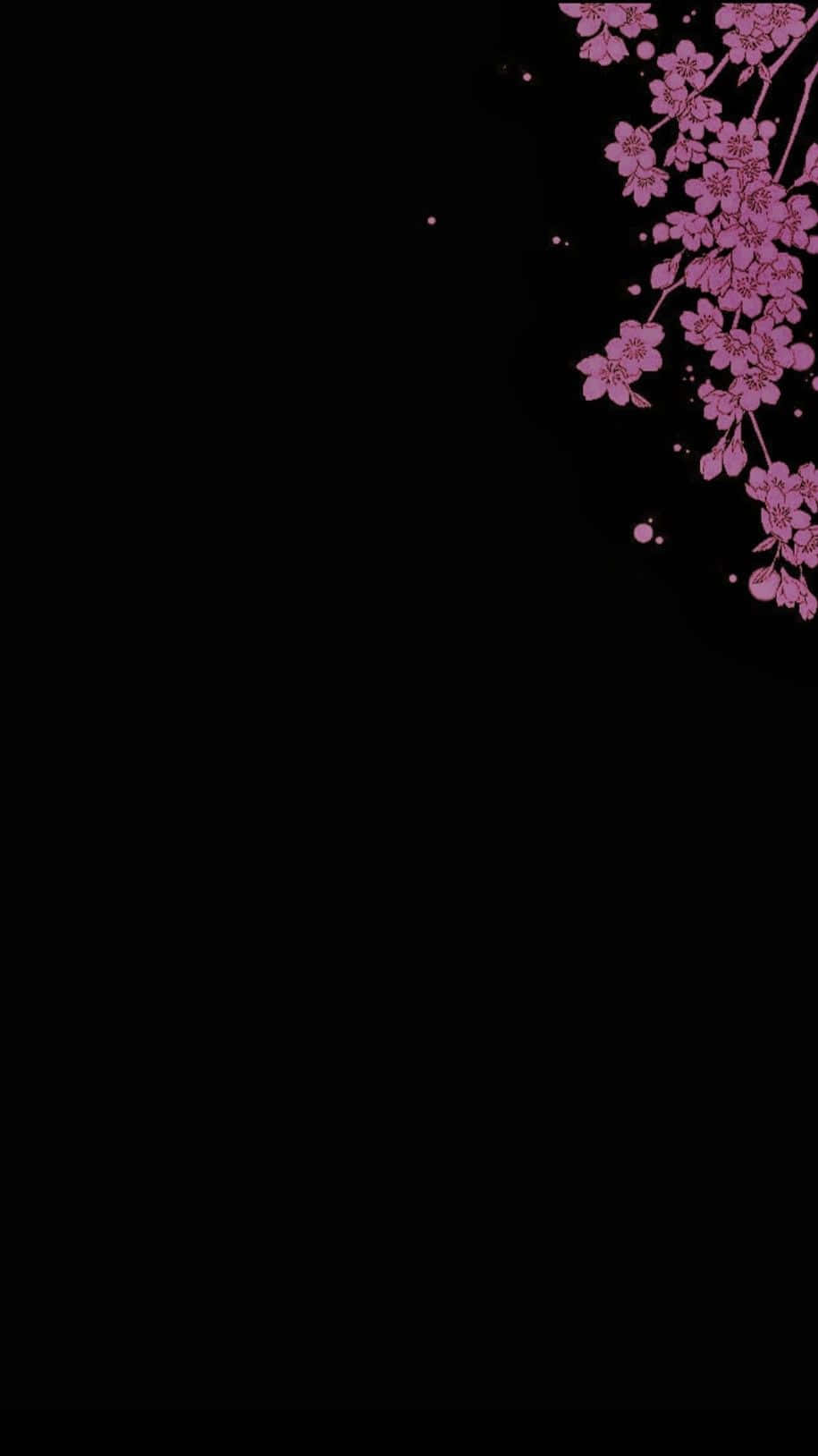 Dark Cherry Blossom, pink cherry blossoms, stark black background, HD Phone Wallpaper