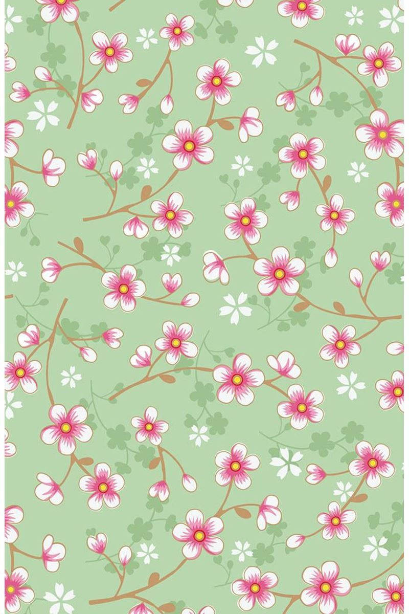 cherry blossom branches, pink cherry blossoms, white flowers, SD Phone Wallpaper