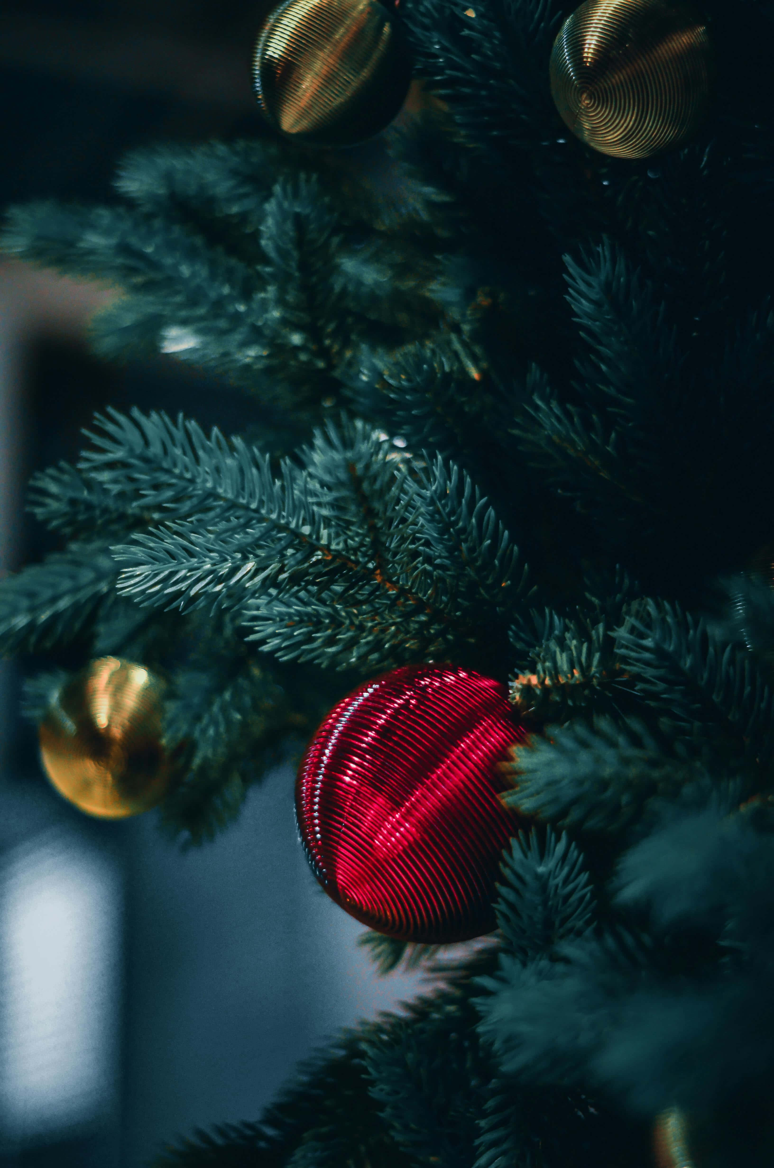 dark green pine tree, shiny red ornaments, gold ornaments, 4K Phone Wallpaper