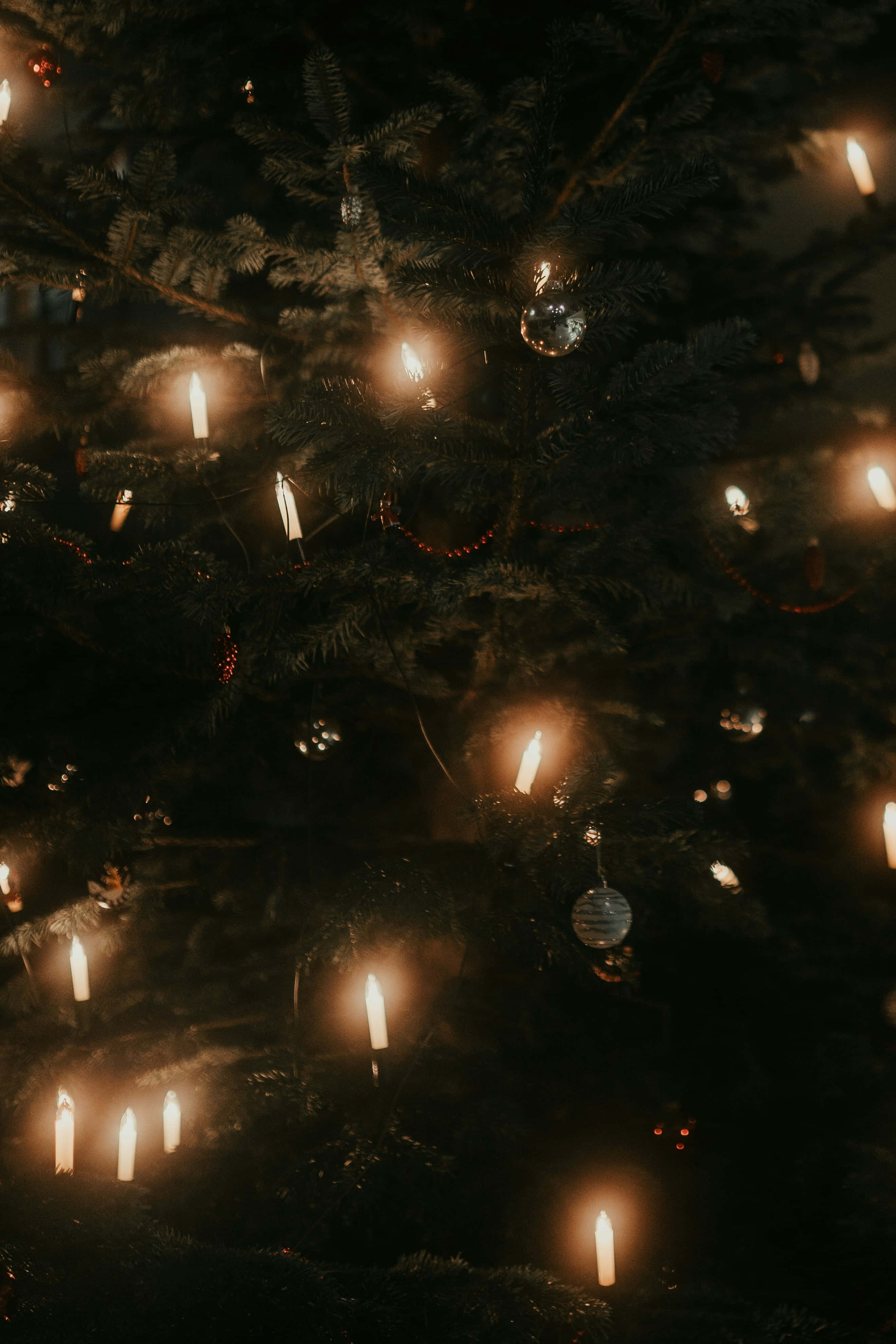 dark evergreen tree, glowing candles, reflective ornaments, 4K Phone Wallpaper