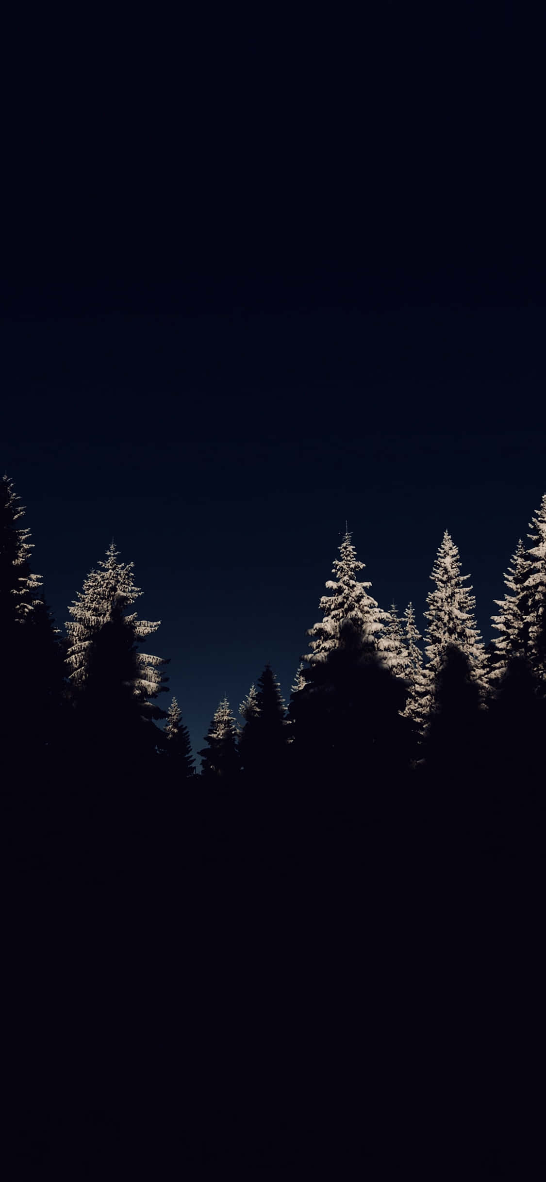 midnight snowy pines, deep indigo night sky, moonlight, Full HD Phone Wallpaper