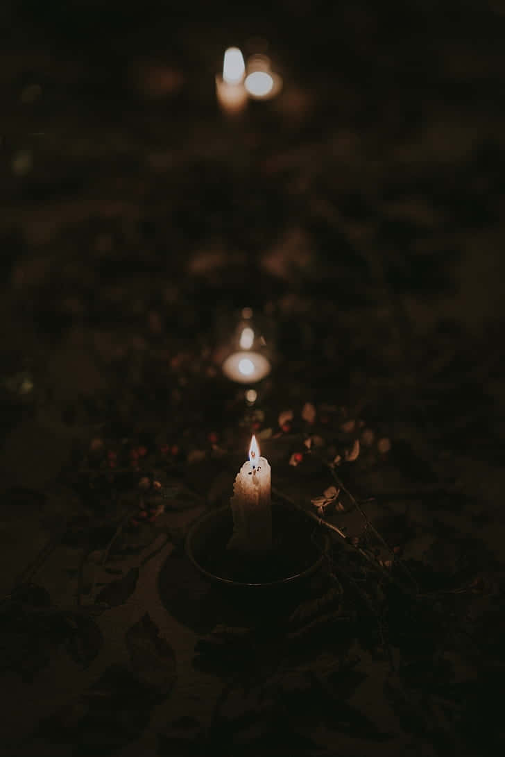 candlelight, dark bowl, dried leaves, SD Phone Wallpaper