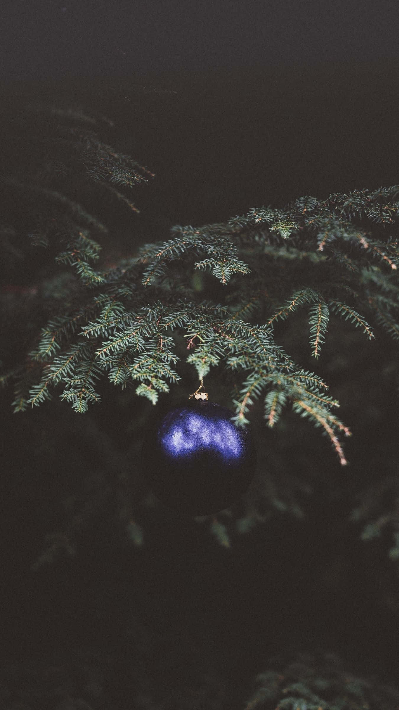 Dark Christmas, glowing blue Christmas ornament, dark evergreen branch, Full HD Phone Wallpaper