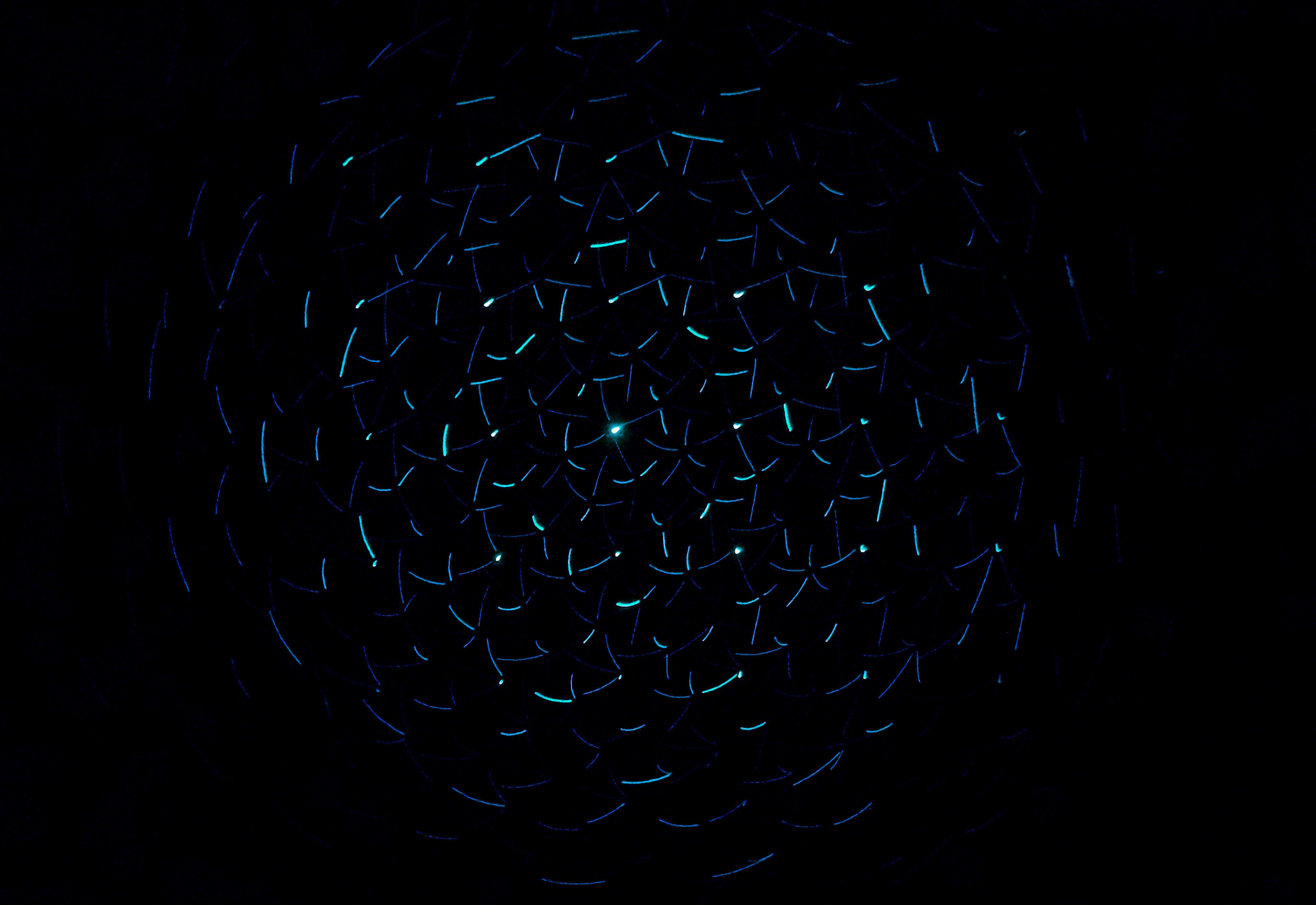 dark circles, glowing blue light trails, deep black void, 5K Desktop Wallpaper