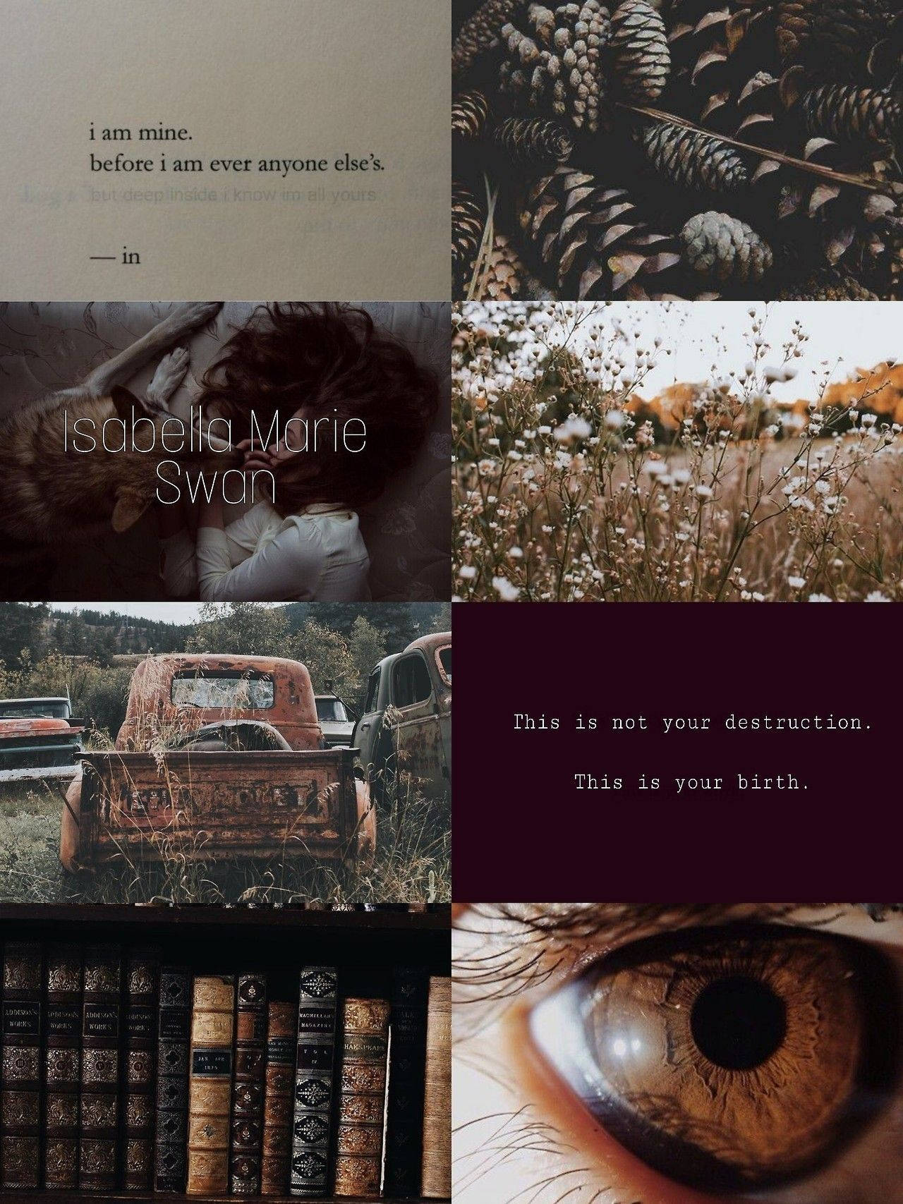 twilight aesthetic, moody nature, pinecones, HD Phone Wallpaper
